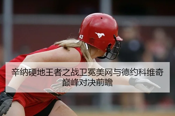 辛纳硬地王者之战卫冕美网与德约科维奇巅峰对决前瞻
